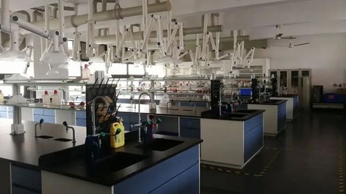 食品工程技術(shù)咨詢 推動(dòng)食品安全與創(chuàng)新的關(guān)鍵角色